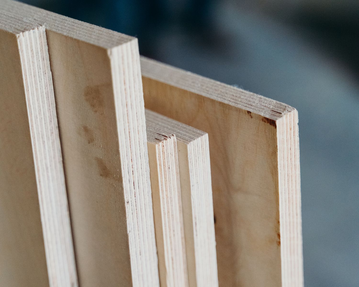 The Ultimate Timber Guide: 5.5mm Hardwood Plywood