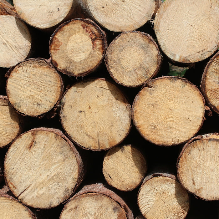 stack of cut log