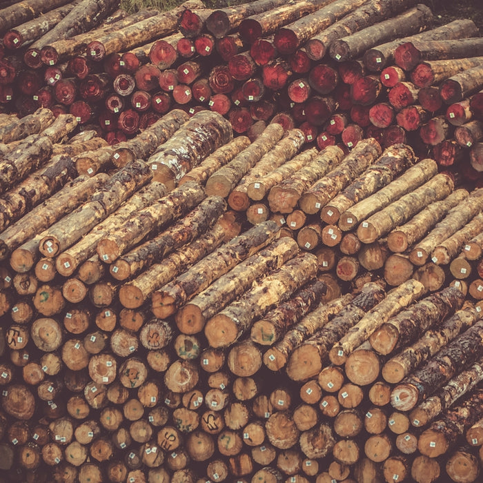 pile of tree logs