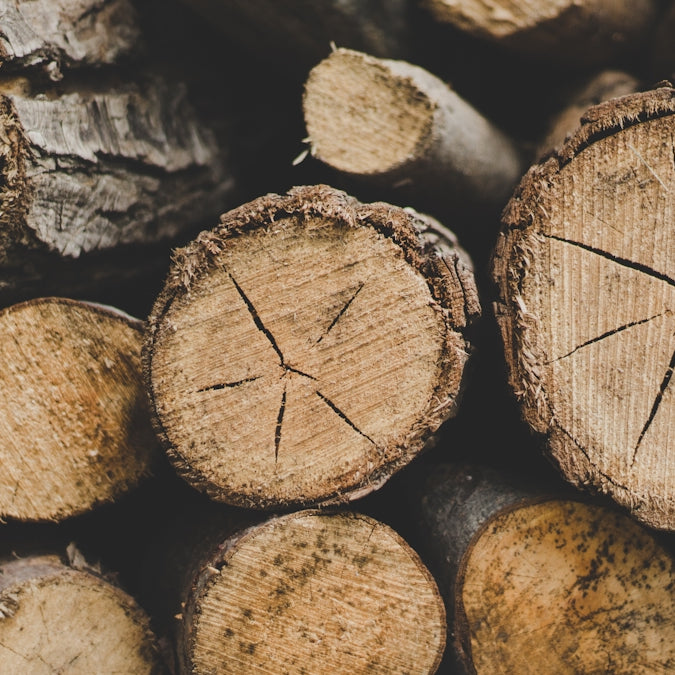 closeup photo of wood logs