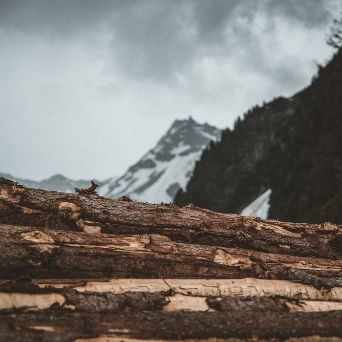 brown wood logs
