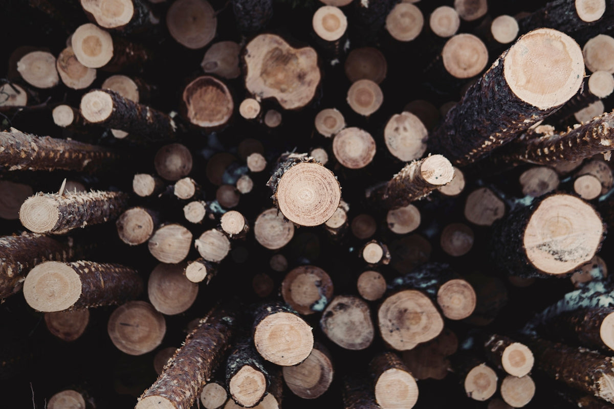 high angle photo of brown wood logs