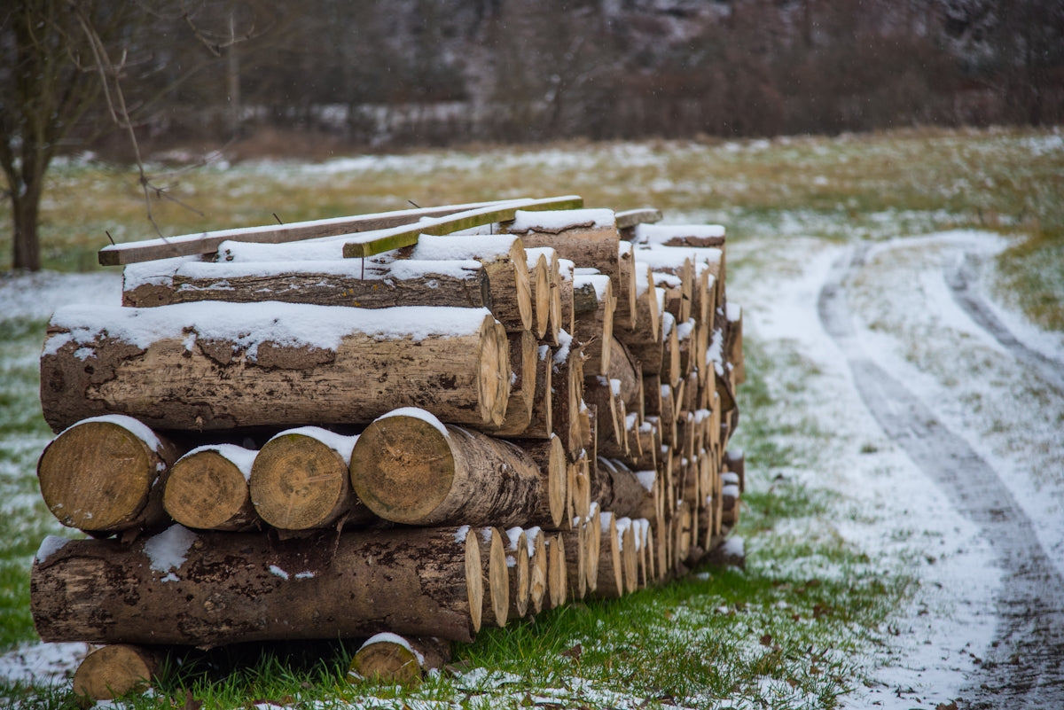 brown wood logs on green grass field during daytime