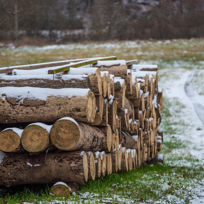 brown wood logs on green grass field during daytime