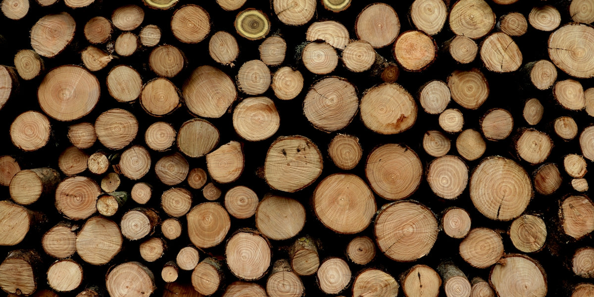 What Every Builder Should Know About Timber Grading Standards — Timber DIY