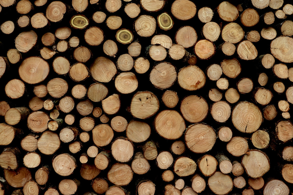 brown wooden logs in close up photography