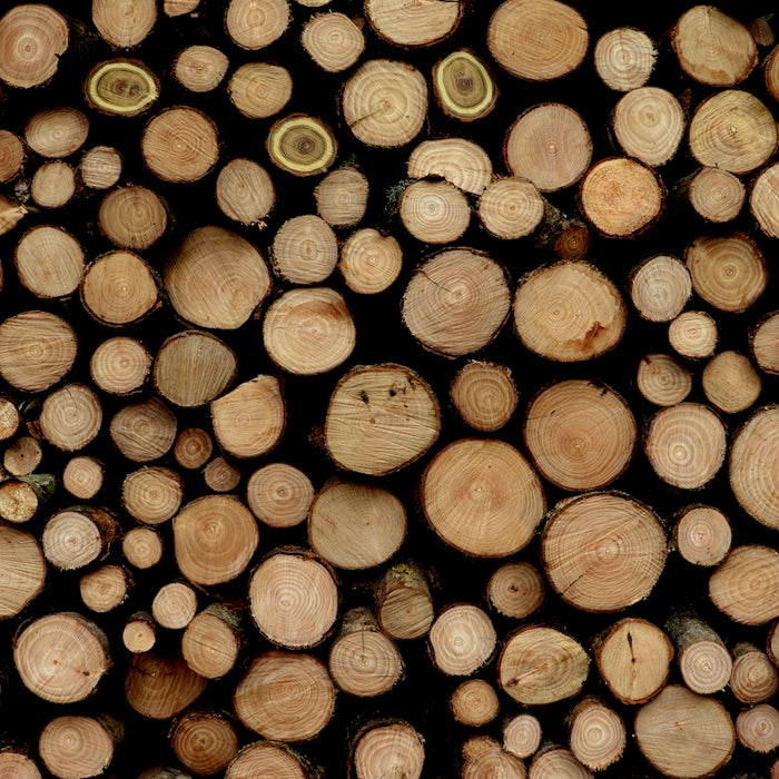 brown wooden logs in close up photography