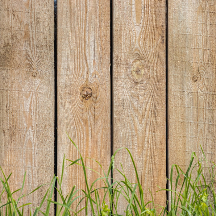 green grass beside brown wooden fence