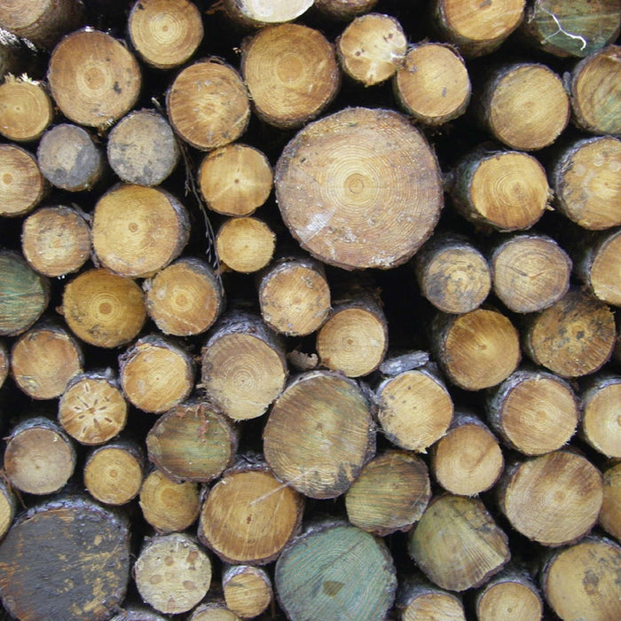 pile of brown and gray wood logs