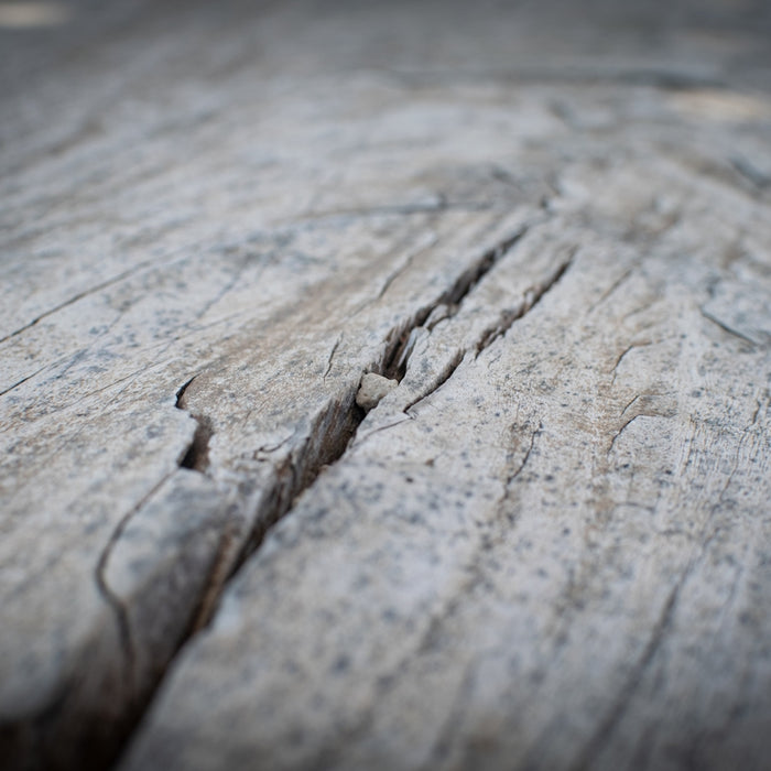 brown wood log in close up photography