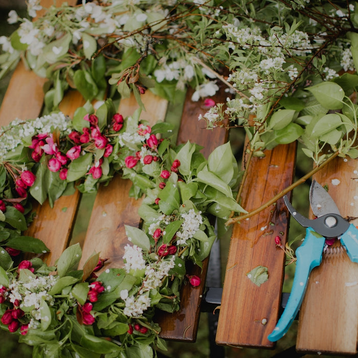 pink and white flowers on brown wooden fence