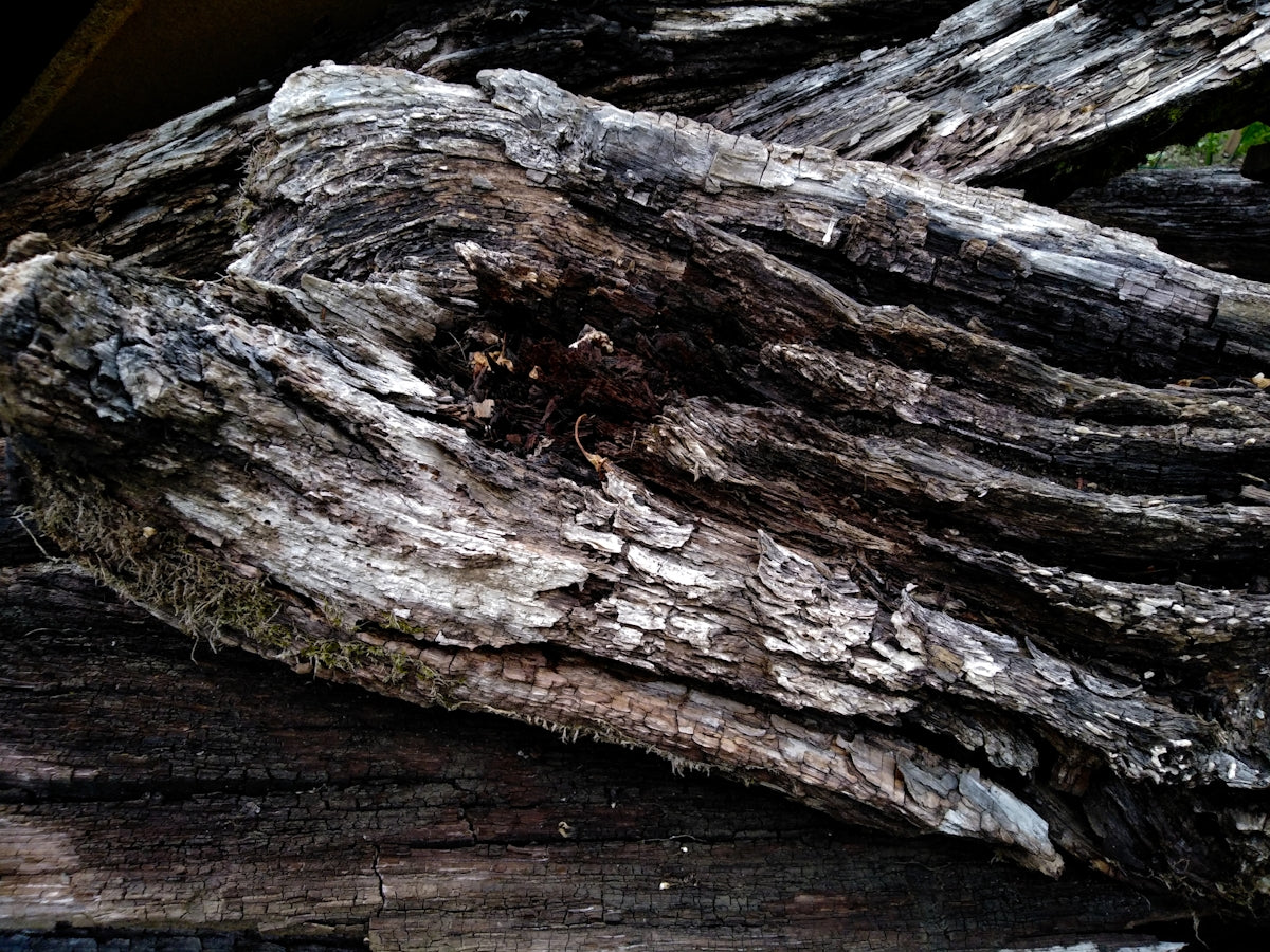 a close up of a piece of wood