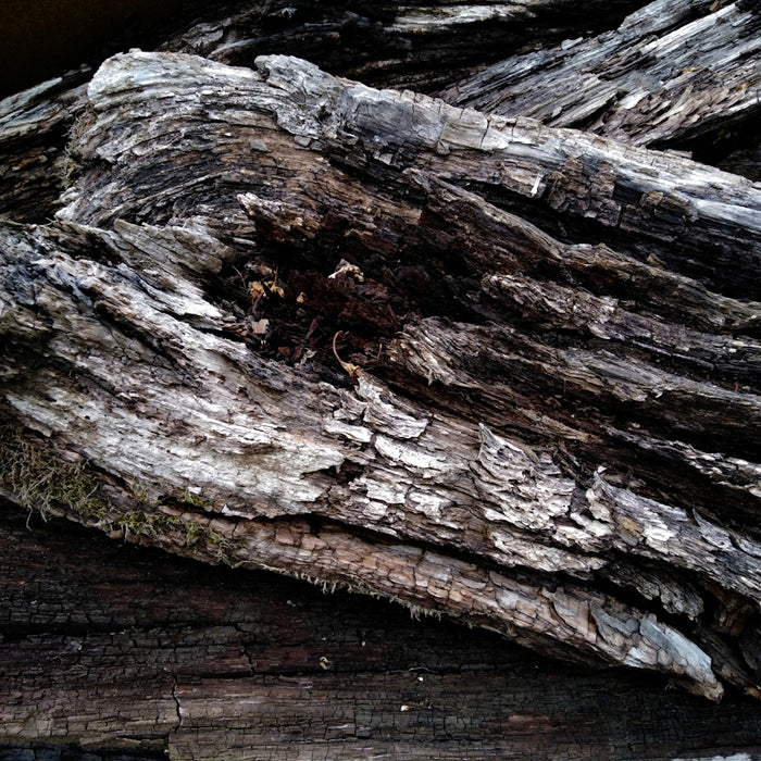 a close up of a piece of wood