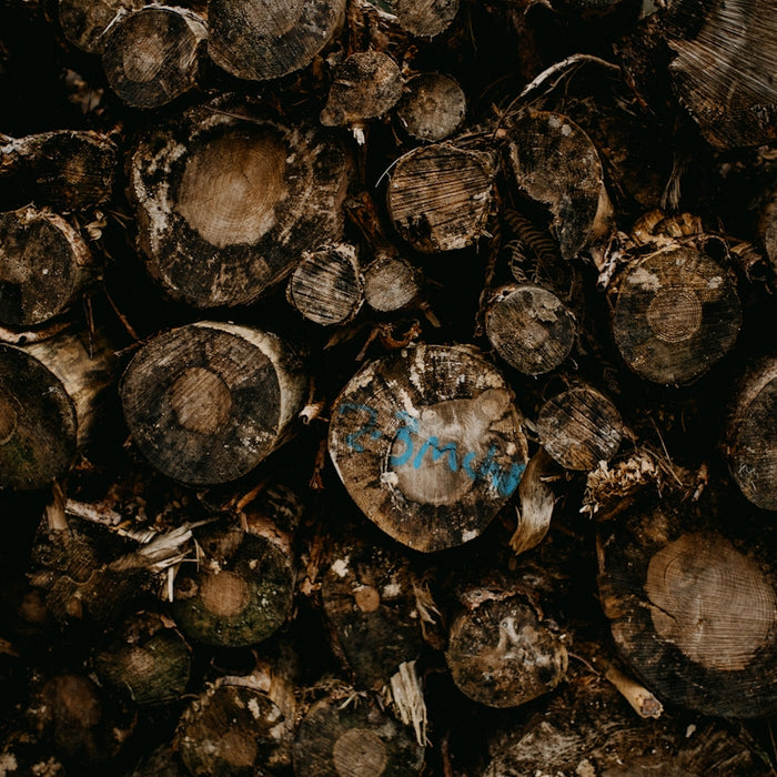 a pile of wood that has been cut down
