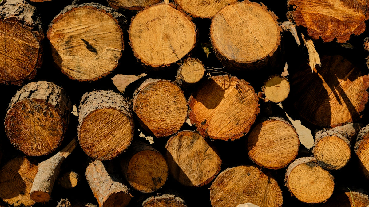 a pile of wood that is cut in half