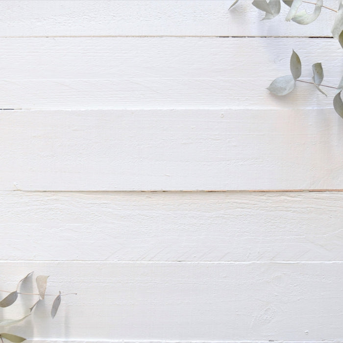 a white wooden wall with a plant on top of it