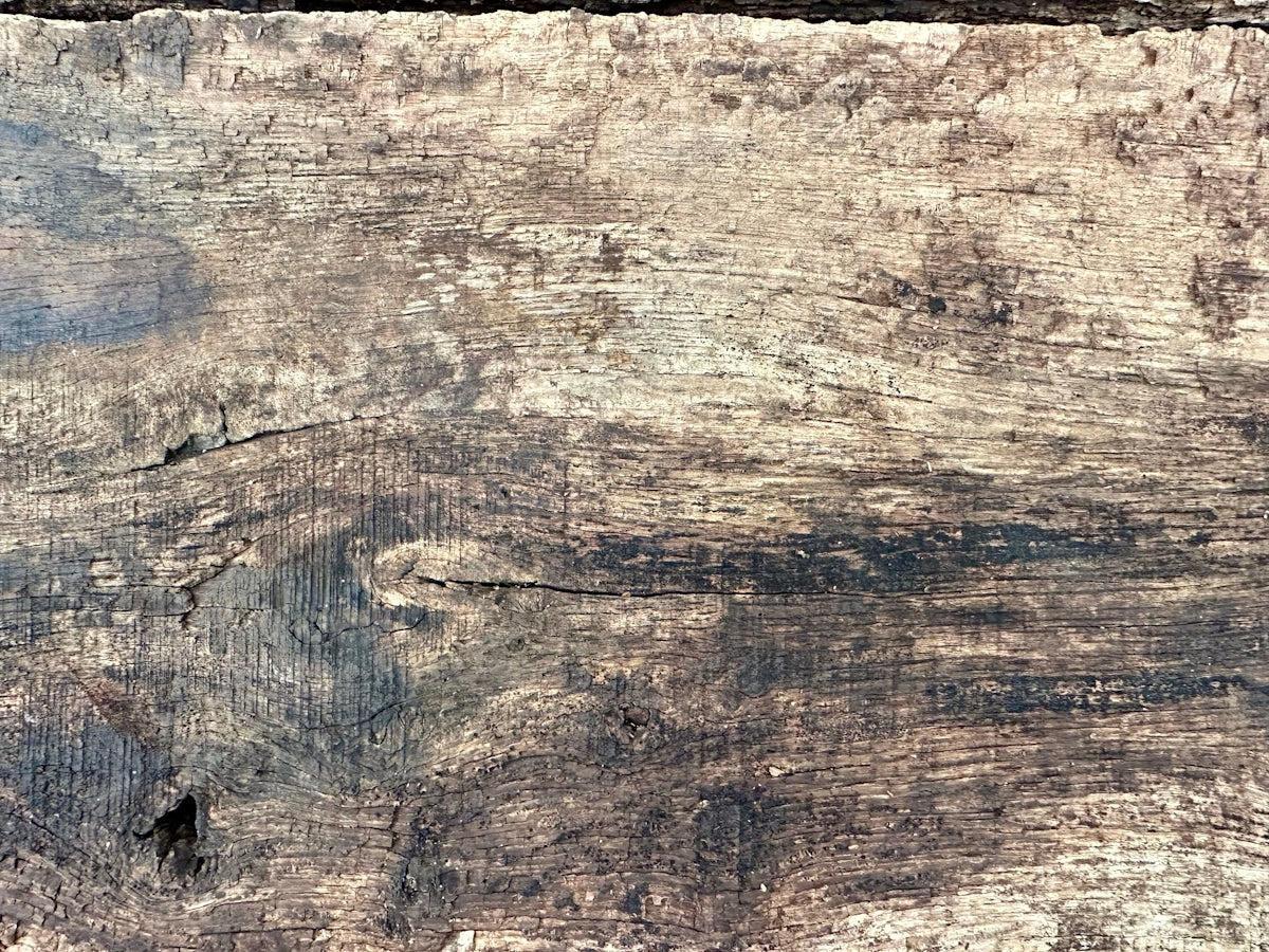 a close up of a piece of wood