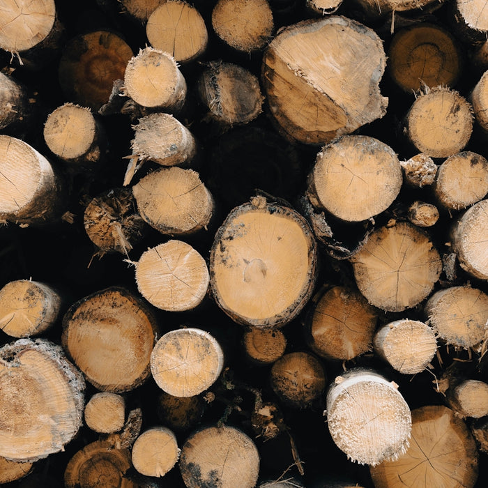 a pile of wood that has been cut down