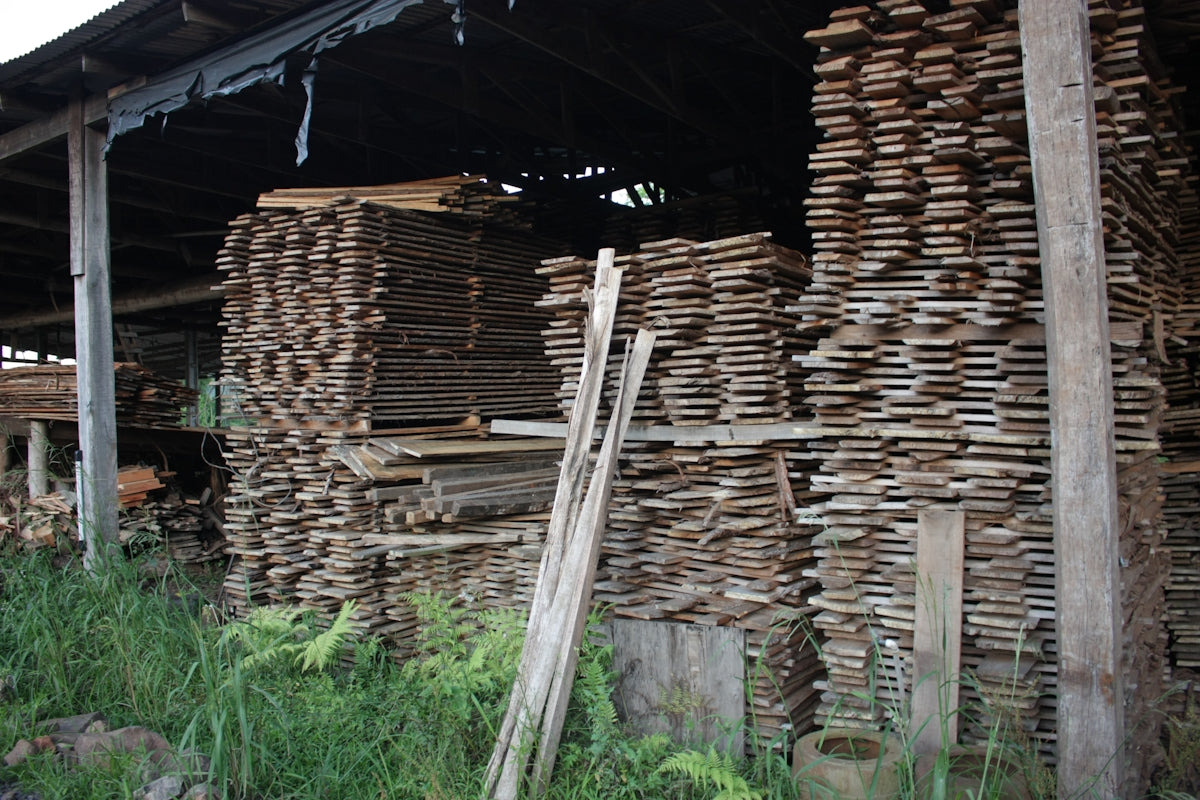 Timber Using The Benefits of Using Timber in Contemporary Design — Timber DIY