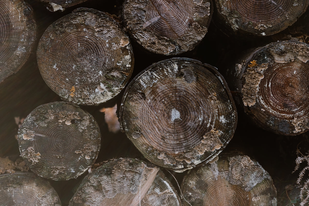 A close up of a pile of wood logs