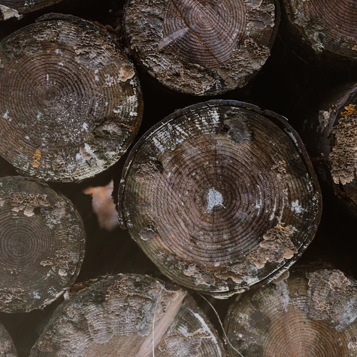A close up of a pile of wood logs