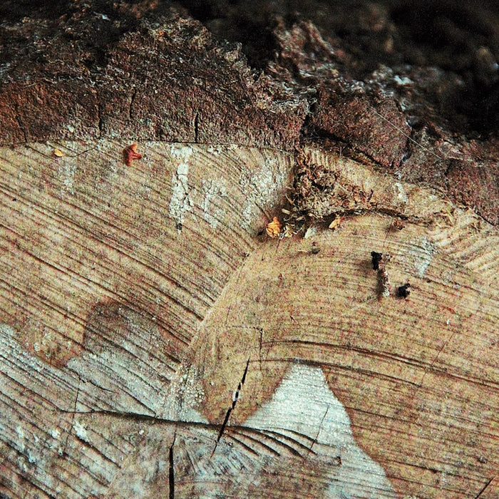 A close up of a piece of wood