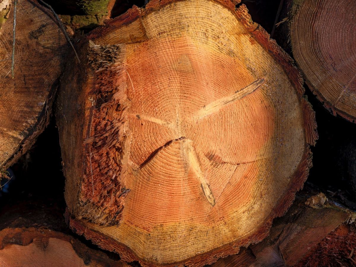 A pile of wood with a cross on it