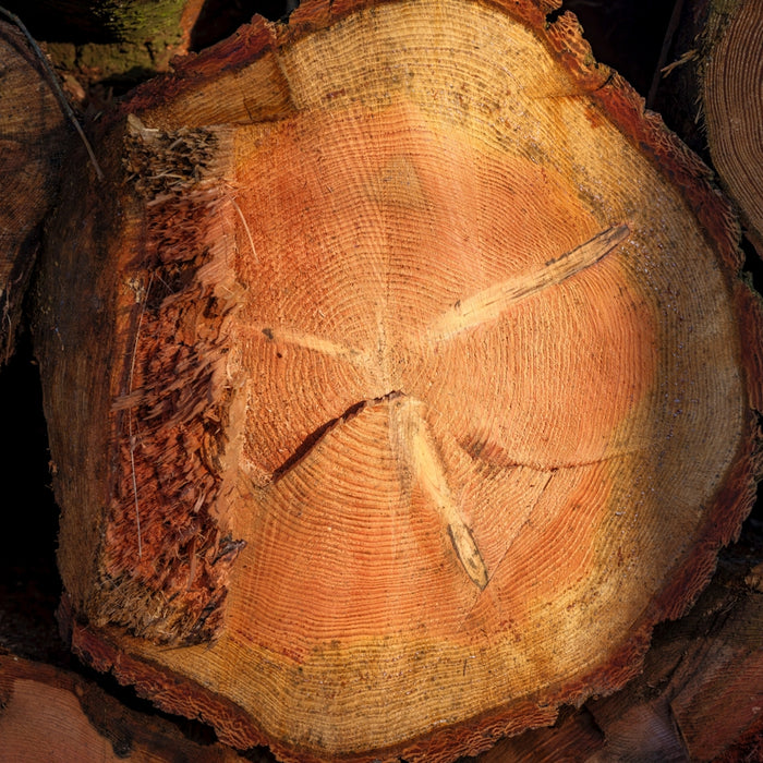 A pile of wood with a cross on it