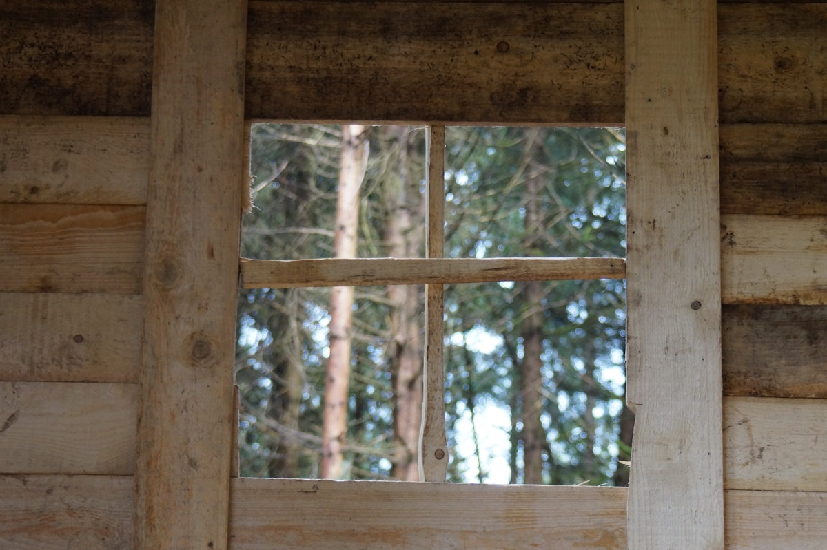 A window in a log cabin with a view of the woods
