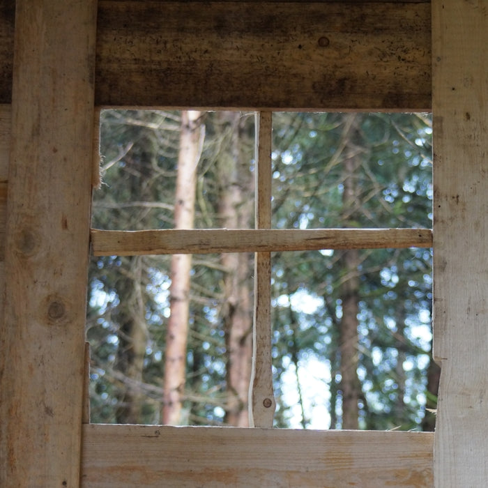A window in a log cabin with a view of the woods